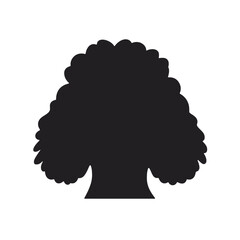 cool poodle dog wearing sunglasses