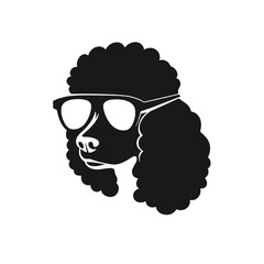 cool poodle dog wearing sunglasses