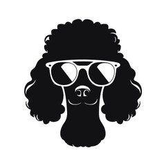 cool poodle dog wearing sunglasses