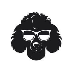 cool poodle dog wearing sunglasses