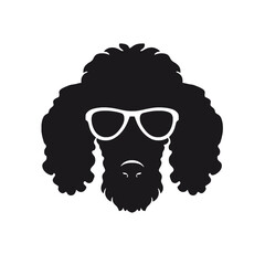 cool poodle dog wearing sunglasses