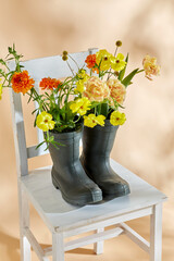 gardening, international women's day and floral design concept - flowers in rubber boots on vintage chair over beige background - 767716595