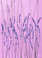 Vertical image of delicate aromatic lavender on purple fabric background