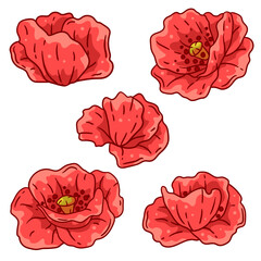 Set of poppies flower. Beautiful decorative plant. - 767719532