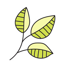 Tree leaves. Vector illustration in doodle style