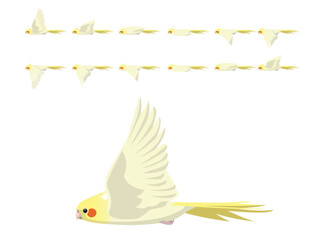 Bird Cockatiel Parrot Cockatoo Lutino Flying Animation Sequence Cartoon Vector