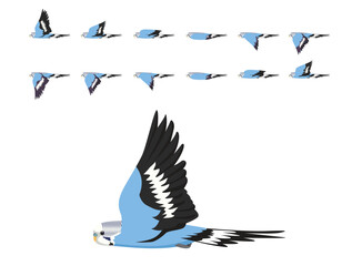 Bird Parrot Budgerigar Blue Flying Animation Sequence Cartoon Vector