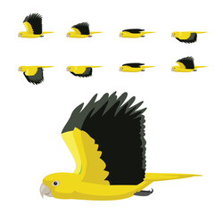 Bird Parrot Golden Parakeet Conure Flying Animation Sequence Cartoon Vector