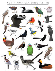 North American Birds Set Cartoon Vector Character 11