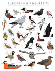European Birds Set Cartoon Vector Character 7