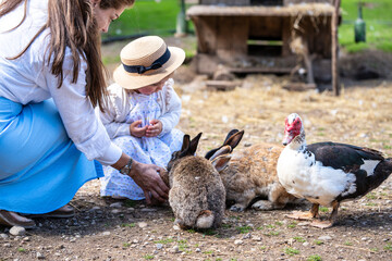 Mom and small daughter feeding rabbits and birds on farm