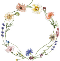 Watercolor wildflowers and grass wreath illustration, meadow flowers frame clipart - 767726151
