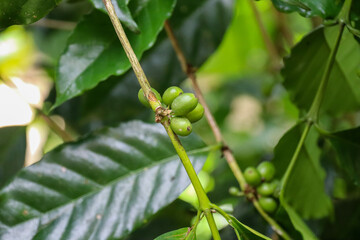 Beautiful impressions of Indonesia