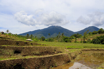 Beautiful impressions of Indonesia