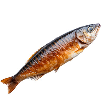 Smoked fish mackerel. Isolated on transparent background.