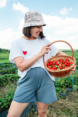 Woman gathering Strawberries at the farm