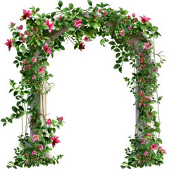 an archway of vines and flowers on transparency background PNG
