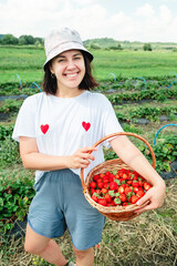 Woman gathering Strawberries at the farm