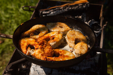 Pan frying or home cooking fish on the fire.