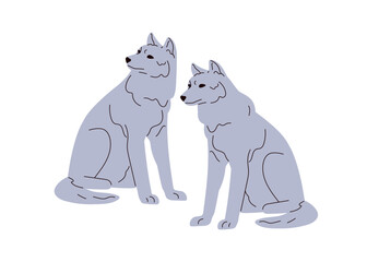 Wolves couple. Wild forest animals pair. Two canis lupus predators. Grey carnivore, beasts. European carnivorous mammal, northern fauna. Flat vector illustration isolated on white background