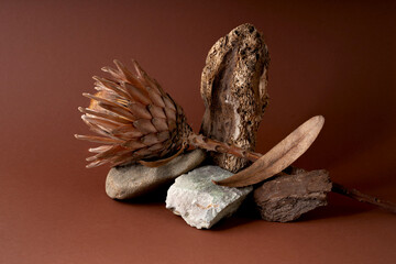 Podium for exhibitions and presentations of products made of stone, protea flower, wood. Beautiful brown background made of natural materials. Abstract nature scene with composition.