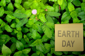 Closeup view of green leaves with Earth Day message