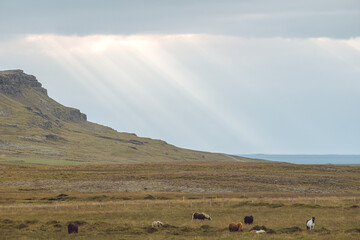 sunshine on icelandic coast