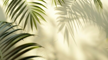 Blurred shadow from palm leaves on light cream wall. Minimalistic background for product presentation