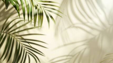 Blurred shadow from palm leaves on light cream wall. Minimalistic background for product presentation