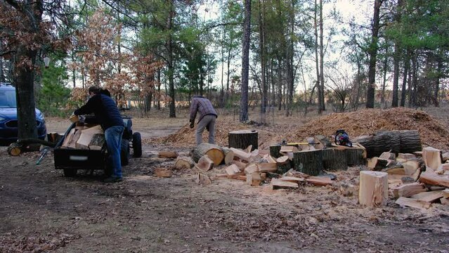 Two men picking firewood and loading onto small trailer hooked to four wheeler after processing oak timber.