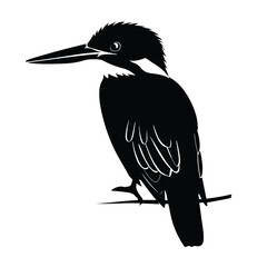 Kingfisher bird silhouette. Isolated kingfisher 