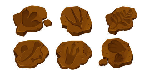 Set dinosaur fossil, paw print, reptile foot trail isolated on white background. Archaeological and paleontology finds. © Alyona