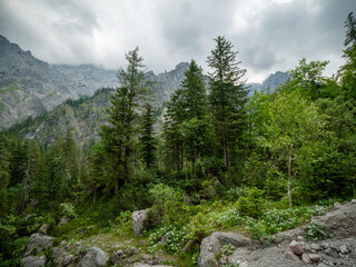 A hike through the Berchtesgaden Wimbach Tal and pass dry creek and hiking trails with deep green nature landscape