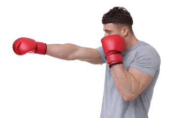 Man in boxing gloves fighting on white background