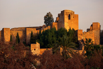 Malaga, Andalusien, Spanien, Festung, Alcazaba < english> Malaga, Andalusia, Spain, fortress,...
