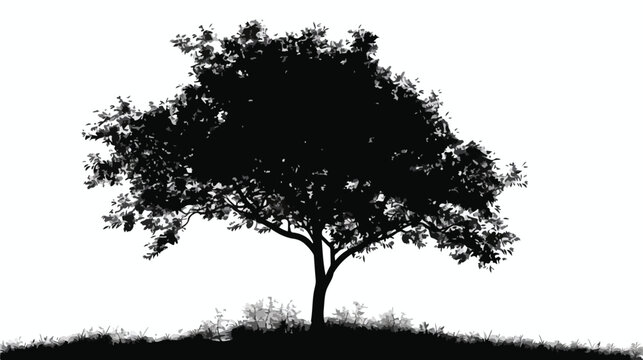 Graphic black and white silhouette of a tree. Vector