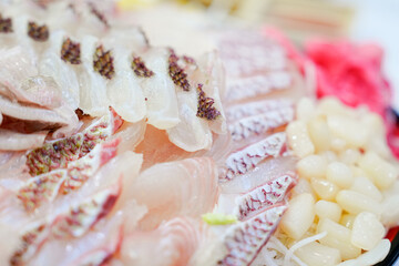 View of the snapper sashimi on the plate