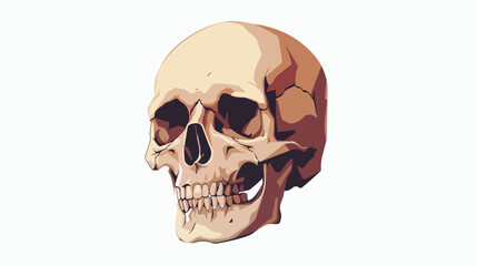 Human skull. Symbol of danger. Abstract concept icon.
