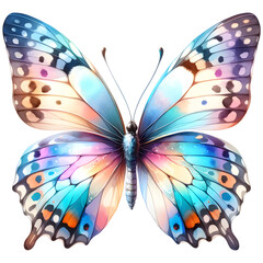 Butterfly watercolor clipart with transparent background - 767770942