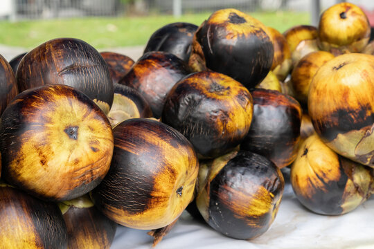 A group of sea coconut on the table for sale