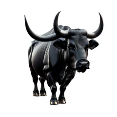 Poster buffalo isolated on white background © Anwar