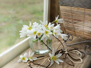 Fototapeta na wymiar flowers in a vase