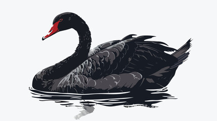 Sketched black swan. Harmonic colors