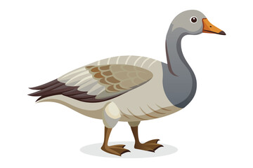 Gander Bird vector illustration on white background