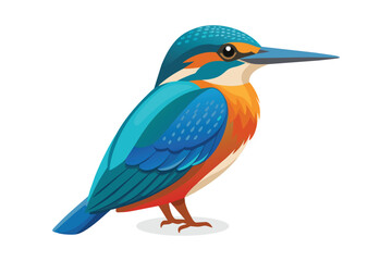 Kingfisher Bird vector illustration on white background. - obrazy, fototapety, plakaty