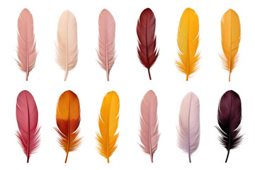 A Symphony of Plumes: Vibrant Feathers Dance on White Canvas. On a White or Clear Surface PNG Transparent Background.