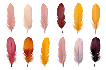 Papier peint Plumes A Symphony of Plumes: Vibrant Feathers Dance on White Canvas. On a White or Clear Surface PNG Transparent Background.