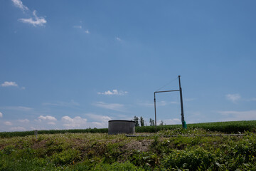 畑の中の給水場
