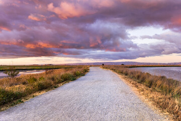 Wide walking trail crossing the restored wetlands of South San Francisco Bay Area; dramatic sunset...