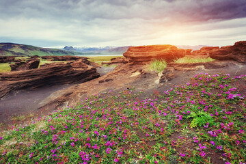volcanic rocks in Iceland. Sunset. - obrazy, fototapety, plakaty